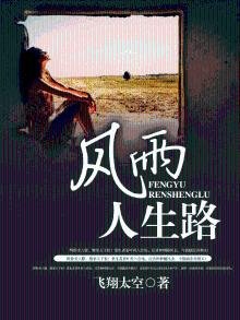 《風雨人生路》