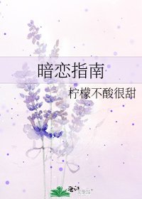 《暗戀指南》